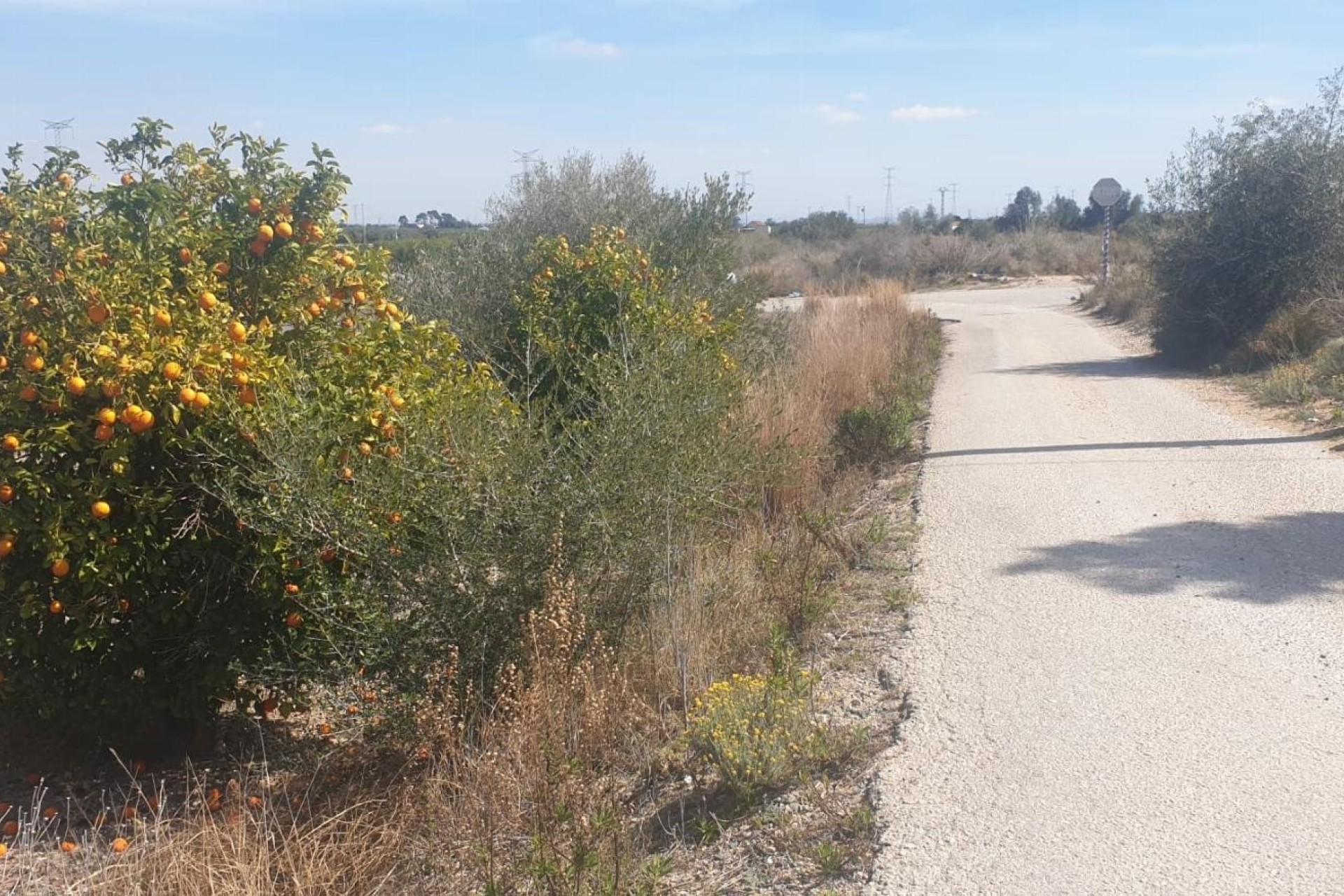 Resale - Grundstück / Land -
Benferri - HUERTA PUEBLO