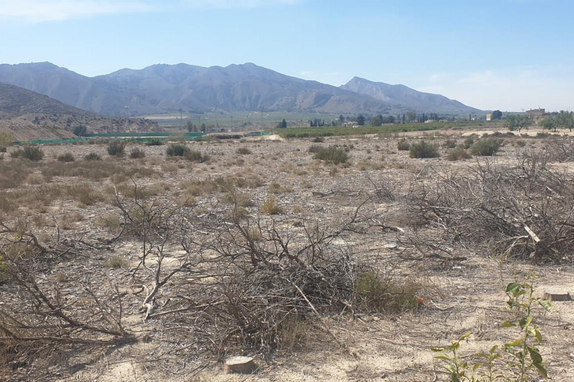 Resale - Grundstück / Land -
Benferri - HUERTA PUEBLO