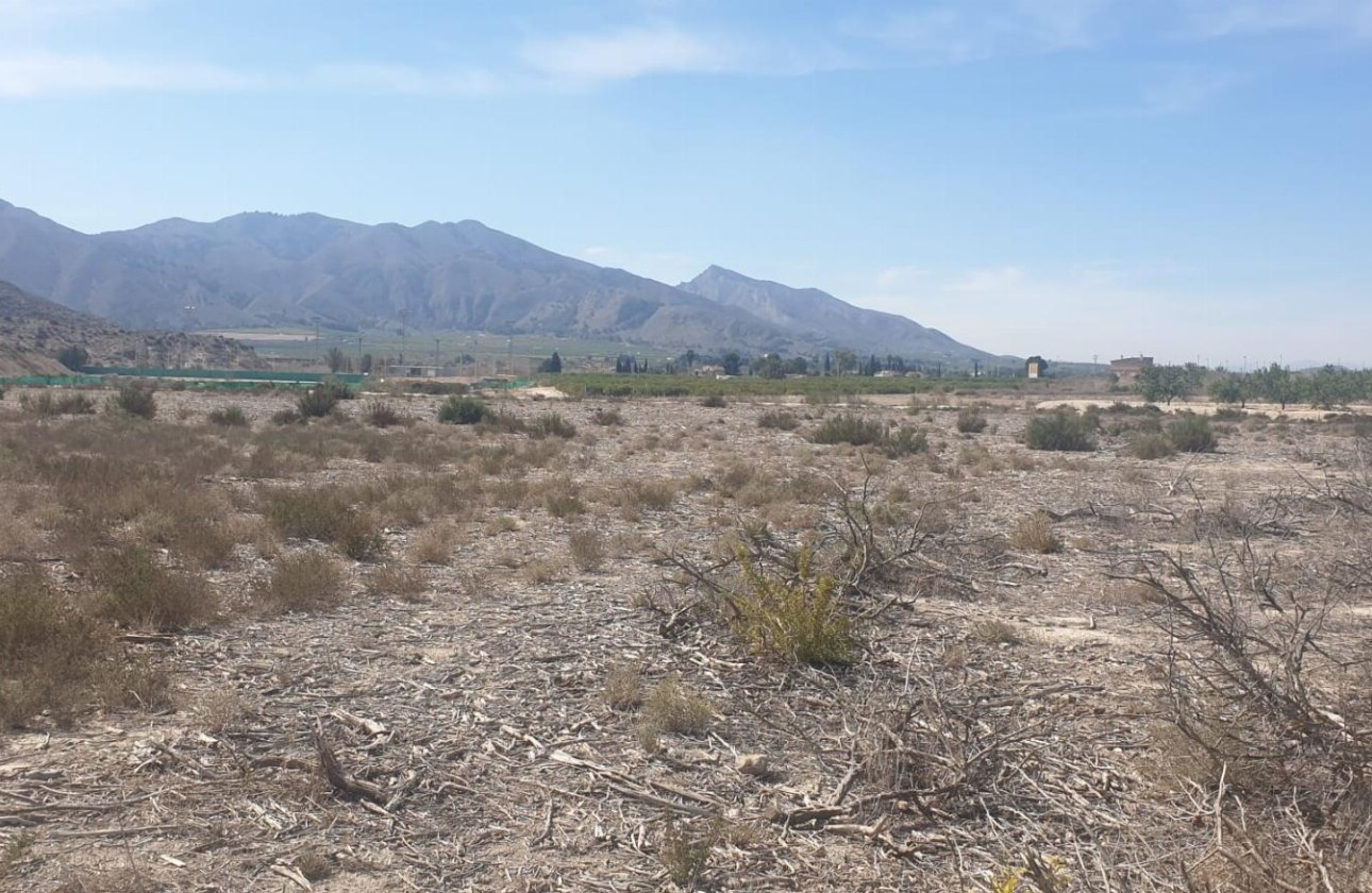 Resale - Grundstück / Land -
Benferri - HUERTA PUEBLO