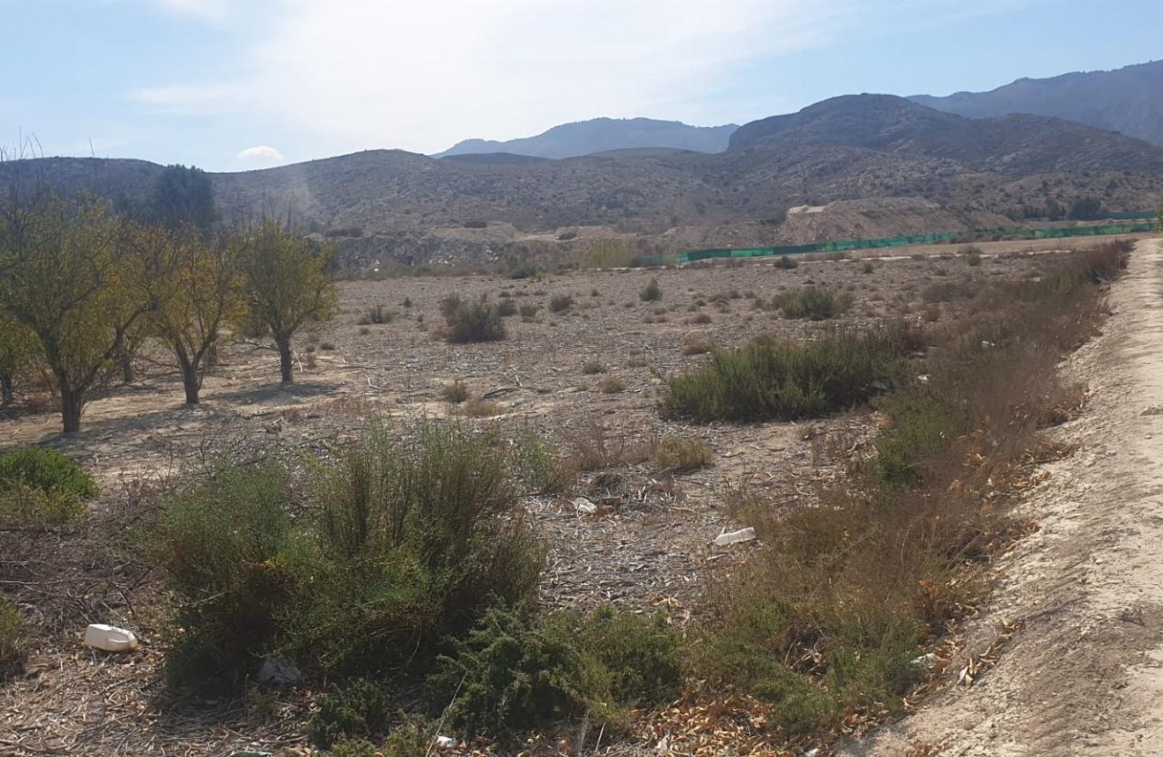 Resale - Grundstück / Land -
Benferri - HUERTA PUEBLO