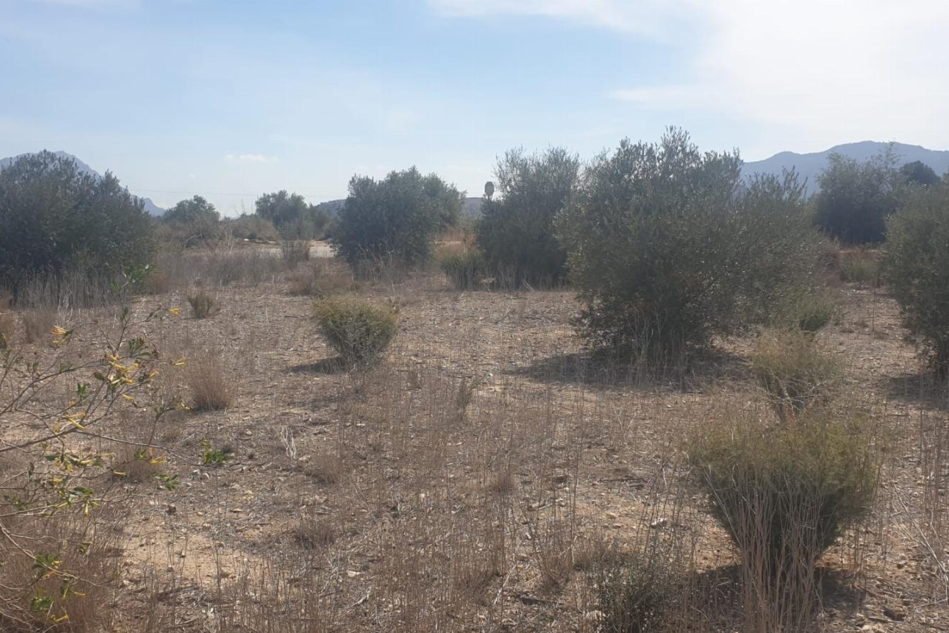 Resale - Grundstück / Land -
Benferri - HUERTA PUEBLO