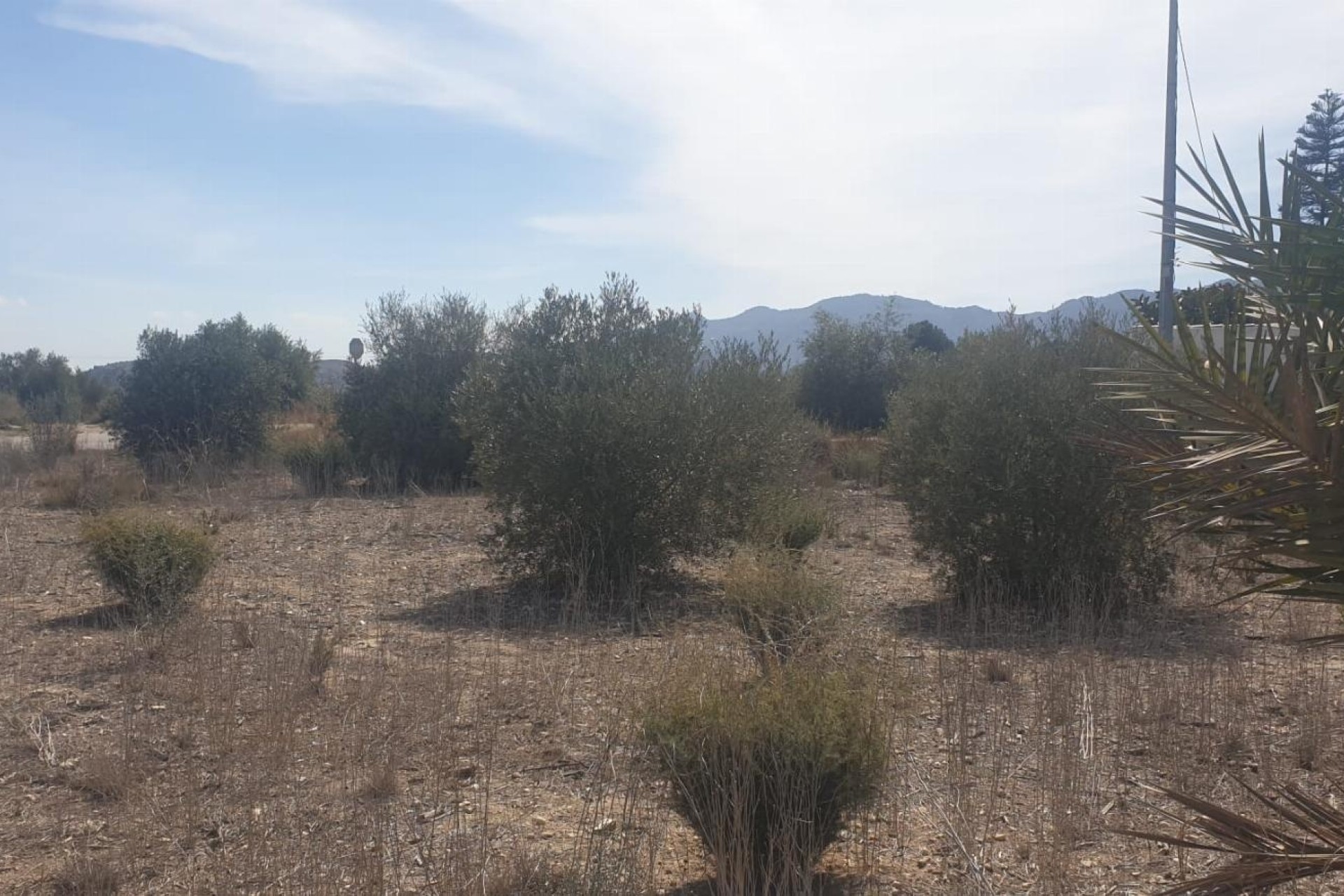 Resale - Grundstück / Land -
Benferri - HUERTA PUEBLO