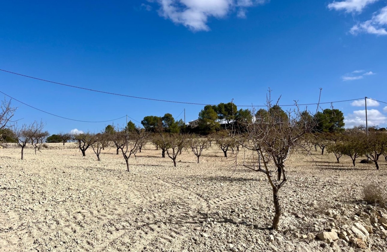 Resale - Grundstück / Land -
Bullas - Costa Calida