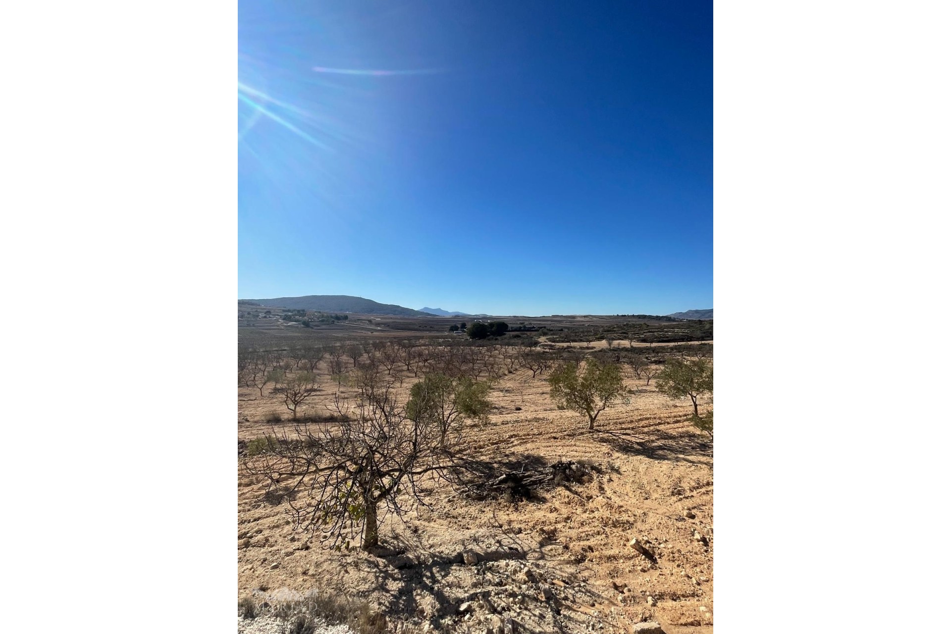 Resale - Grundstück / Land -
Culebr&oacute;n - Culebr&oacute;n Alicante