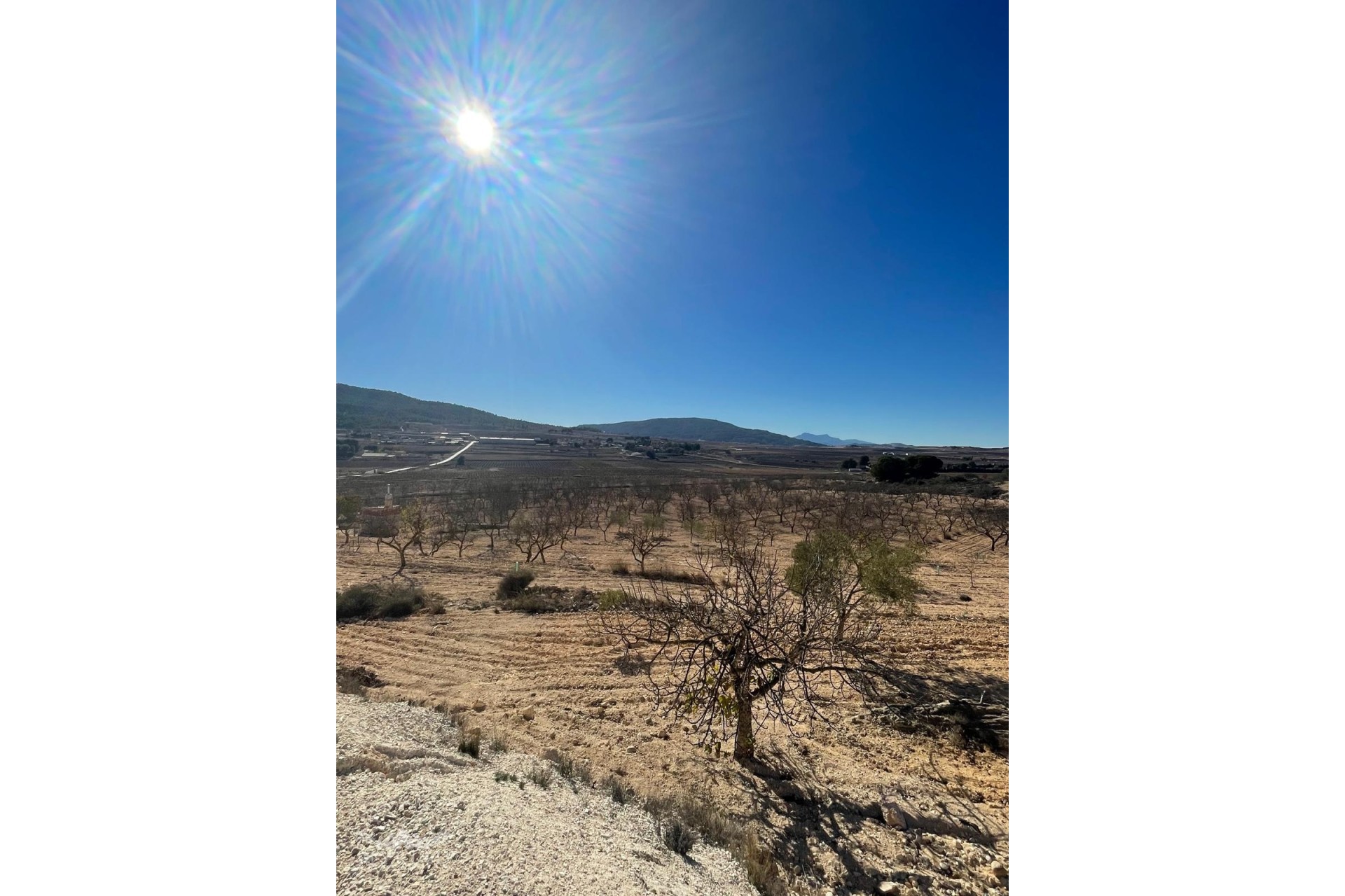 Resale - Grundstück / Land -
Culebr&oacute;n - Culebr&oacute;n Alicante