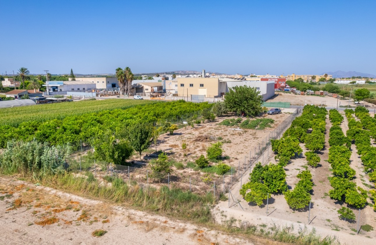 Resale - Grundstück / Land -
Formentera del Segura - Formentera de Segura