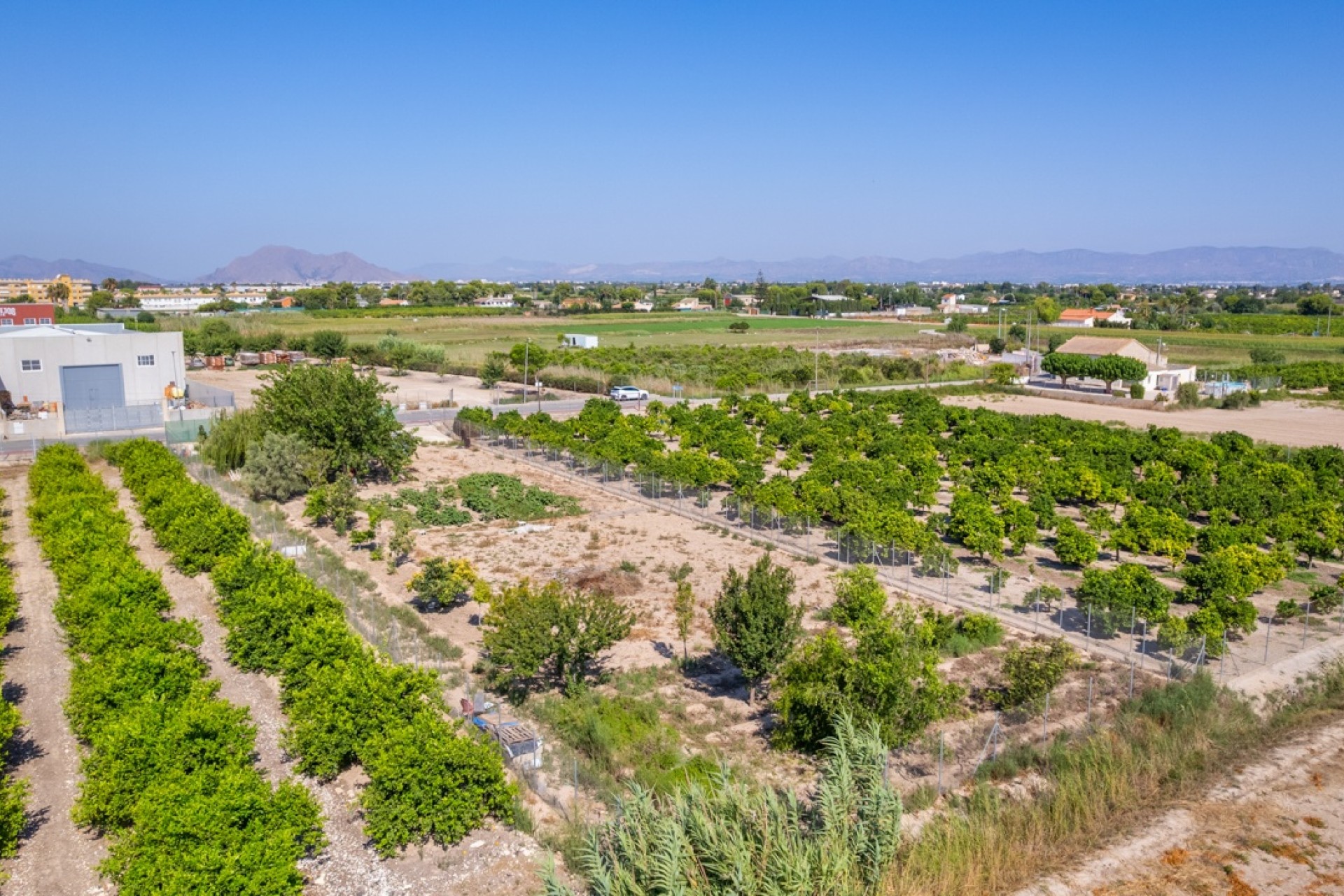 Resale - Grundstück / Land -
Formentera del Segura - Formentera de Segura
