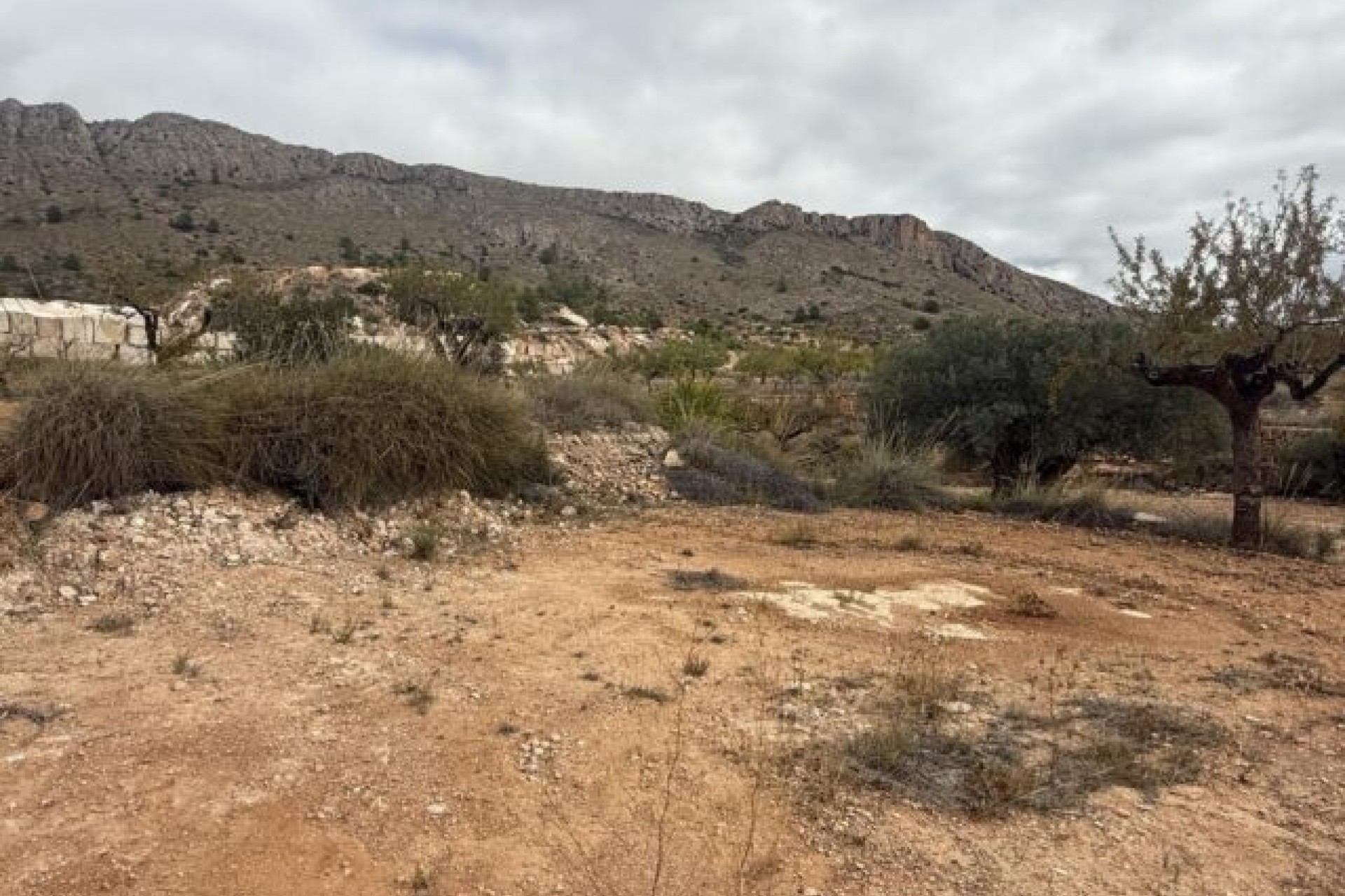 Resale - Grundstück / Land -
La Romana