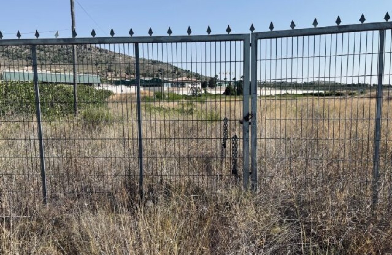 Resale - Grundstück / Land -
La Romana