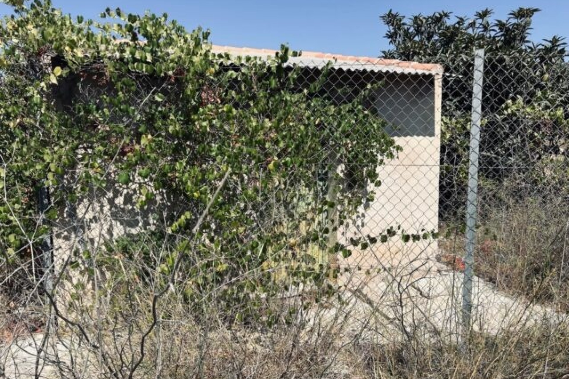 Resale - Grundstück / Land -
La Romana