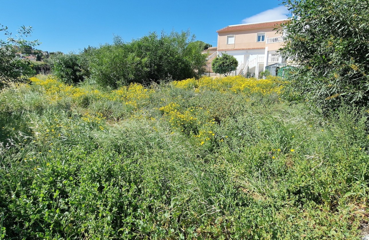 Resale - Grundstück / Land -
Los Balcones - Los Altos del Edén - Los Balcones