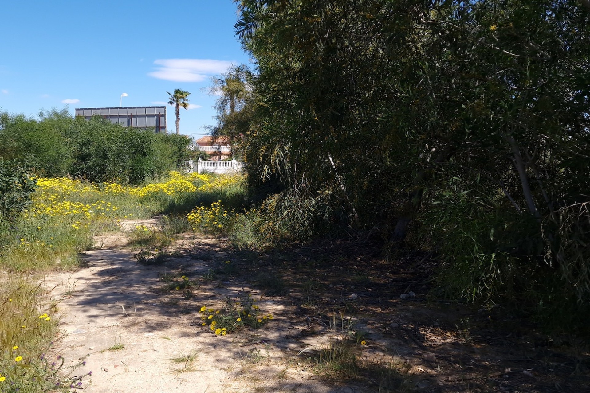 Resale - Grundstück / Land -
Los Balcones - Los Altos del Edén - Los Balcones