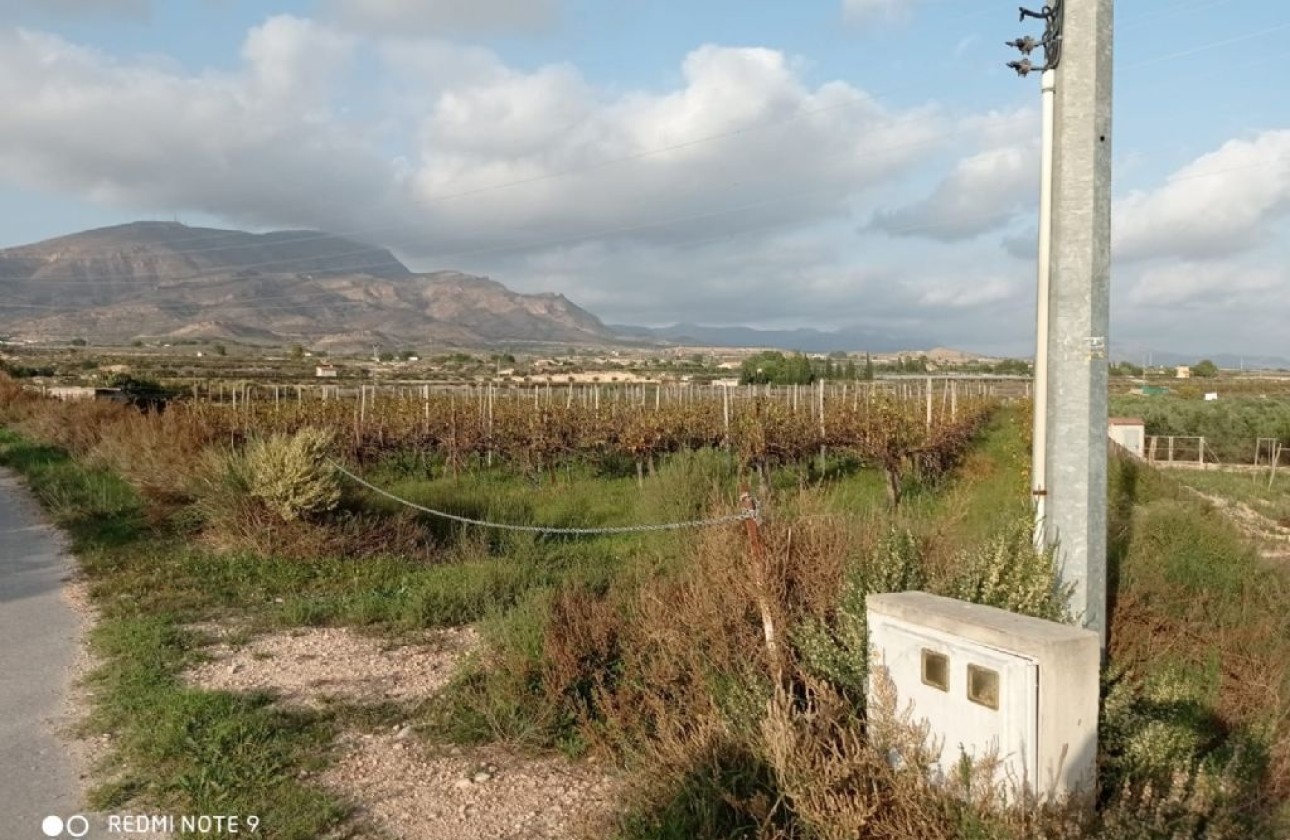 Resale - Grundstück / Land -
Monforte del Cid