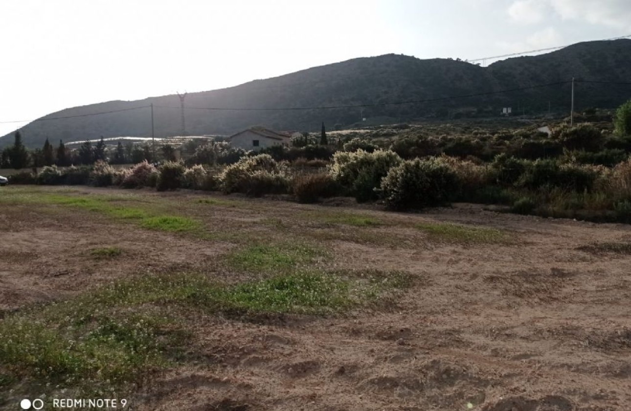 Resale - Grundstück / Land -
Monforte del Cid