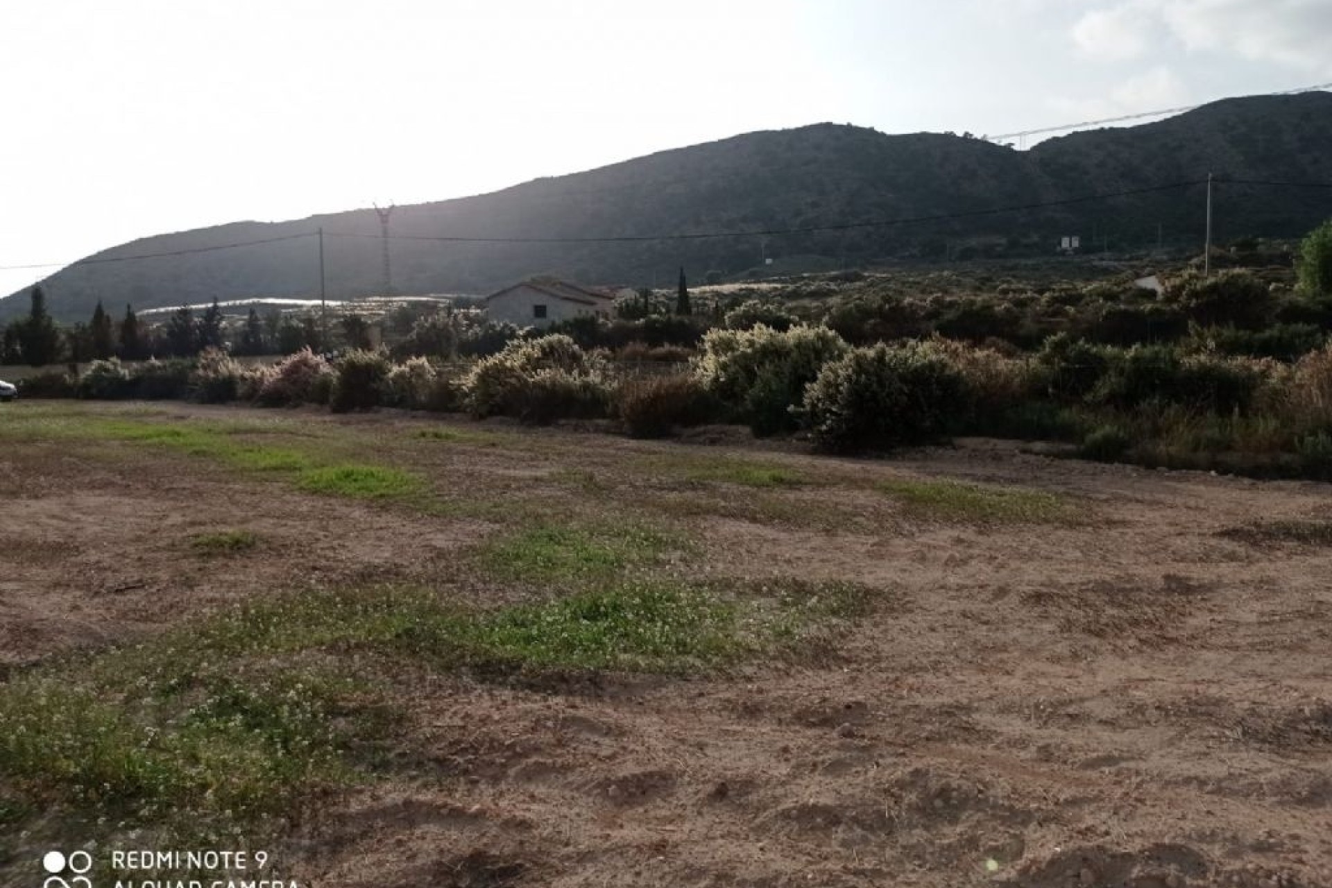 Resale - Grundstück / Land -
Monforte del Cid