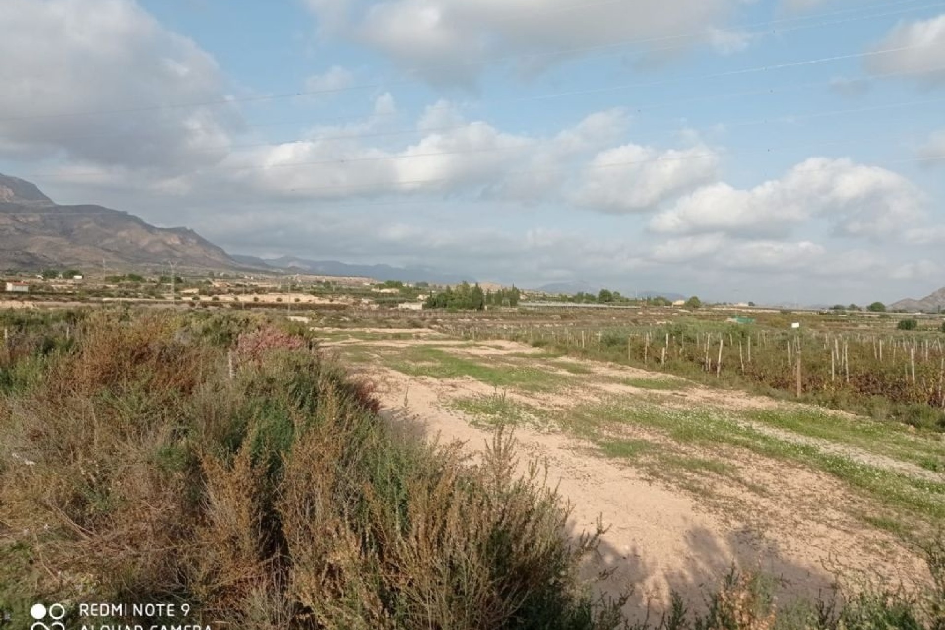 Resale - Grundstück / Land -
Monforte del Cid