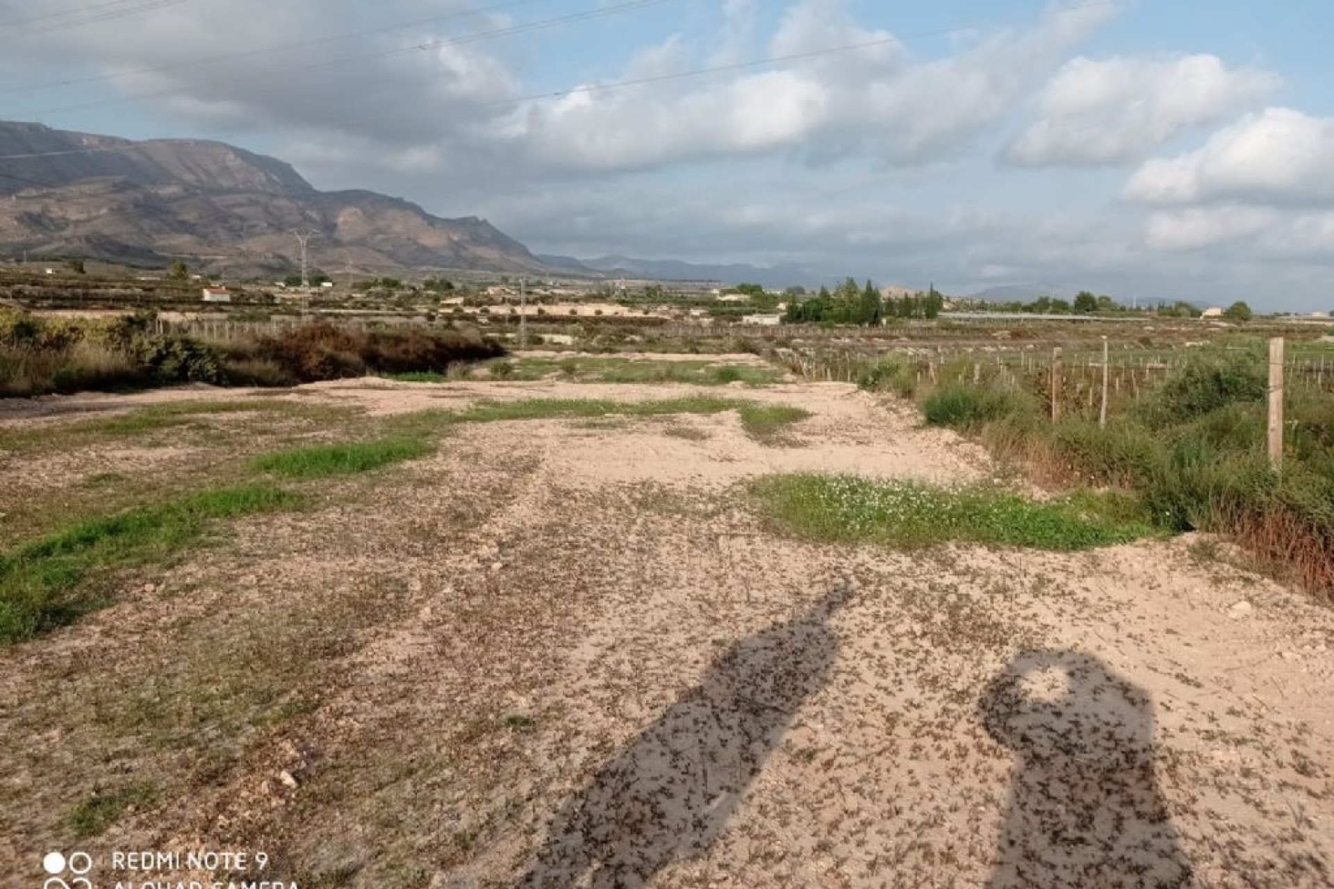 Resale - Grundstück / Land -
Monforte del Cid