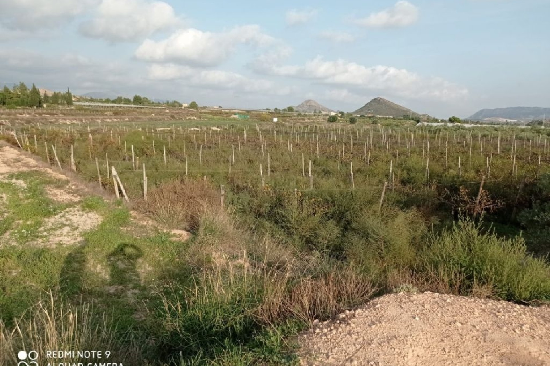 Resale - Grundstück / Land -
Monforte del Cid