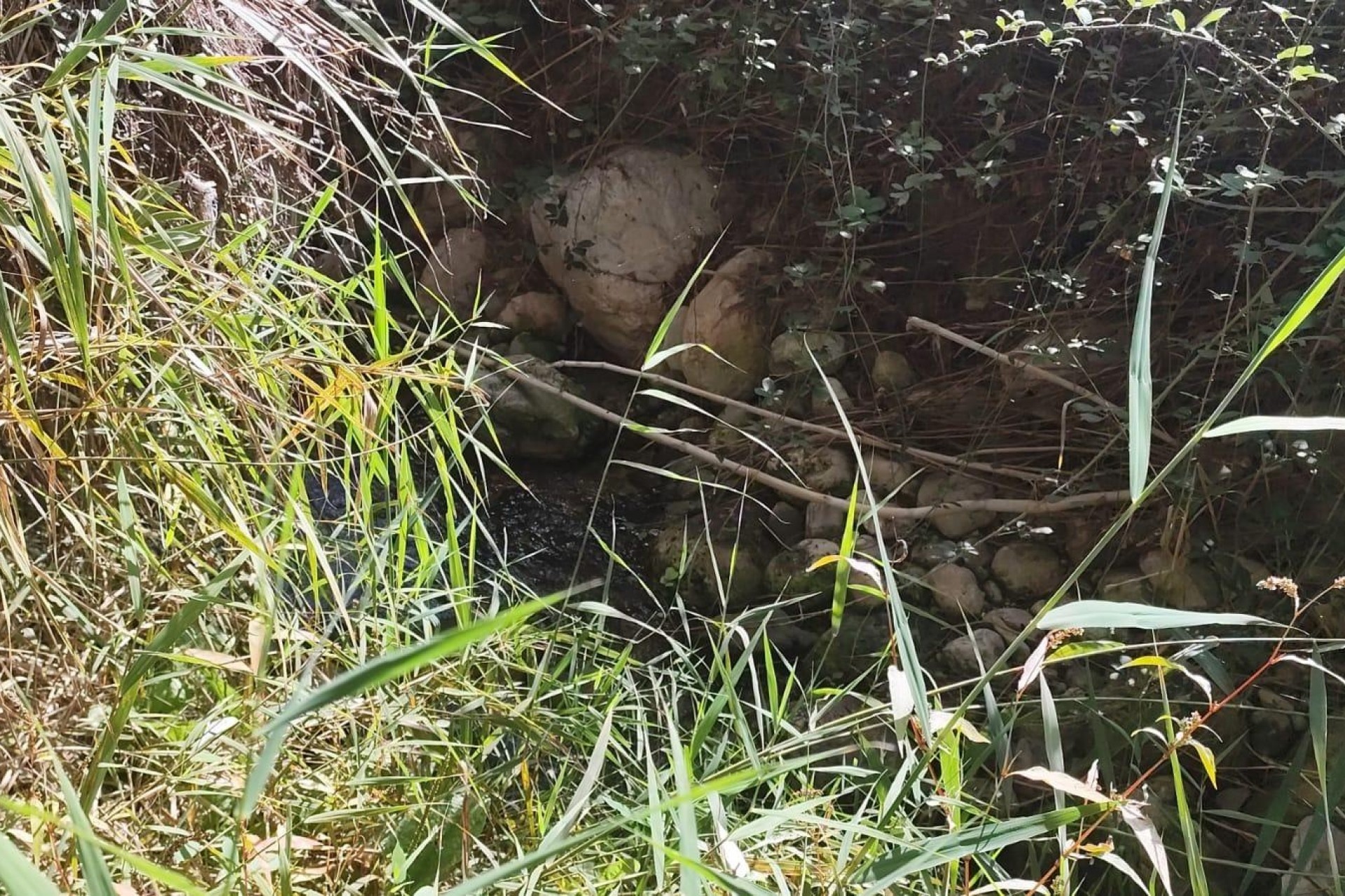 Resale - Grundstück / Land -
Moratalla