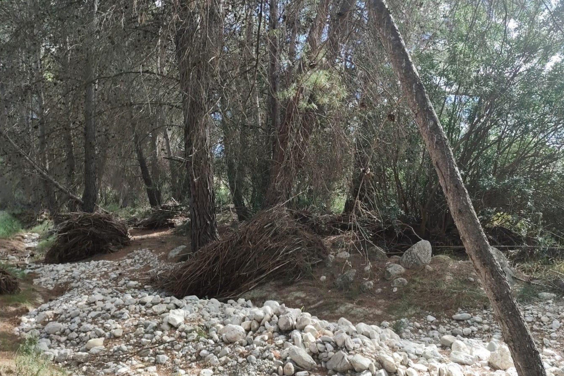 Resale - Grundstück / Land -
Moratalla