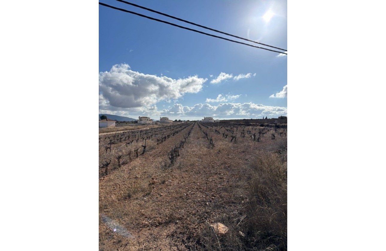 Resale - Grundstück / Land -
Pinoso - el Pinós / Pinoso