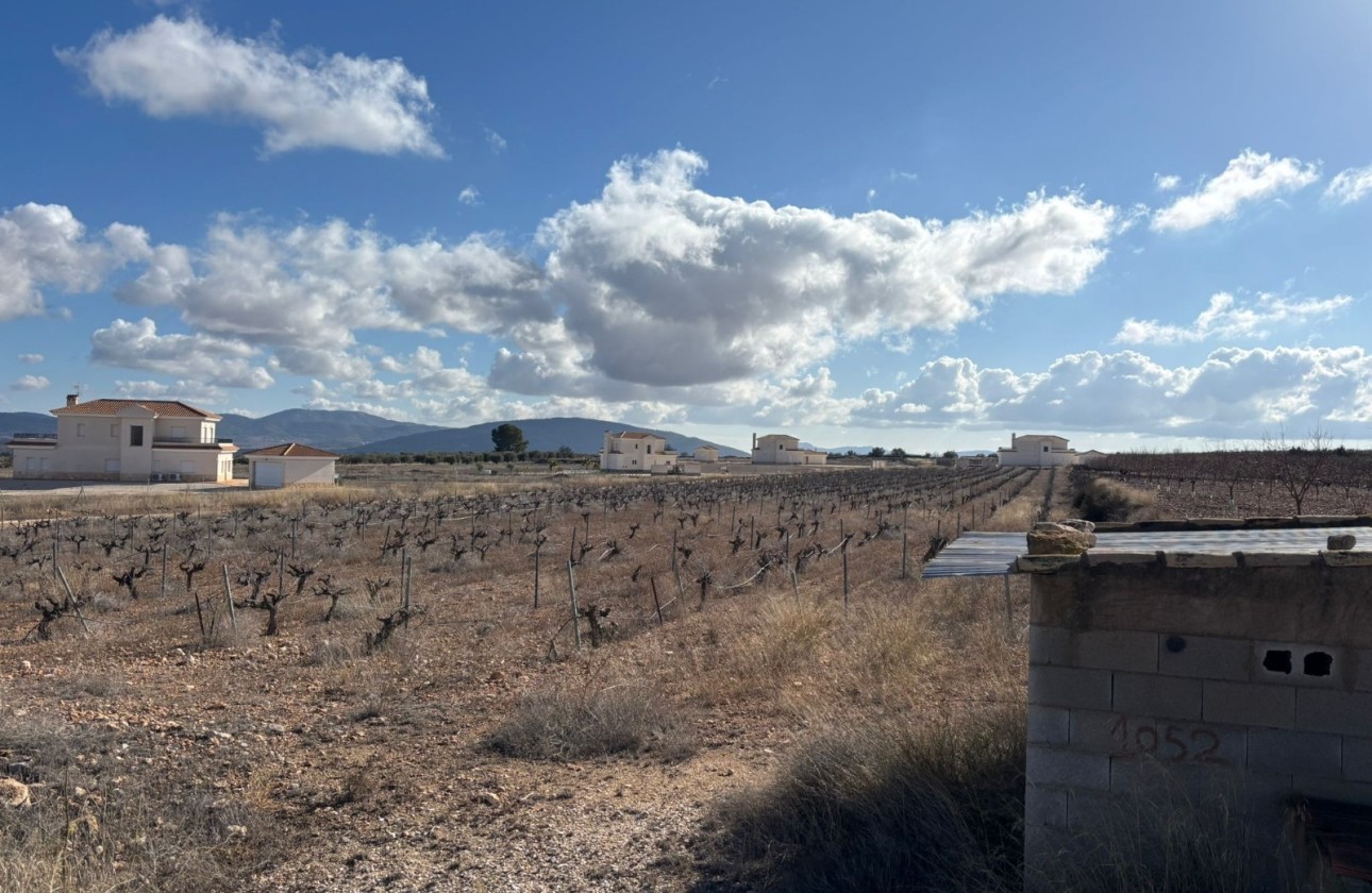 Resale - Grundstück / Land -
Pinoso - el Pinós / Pinoso