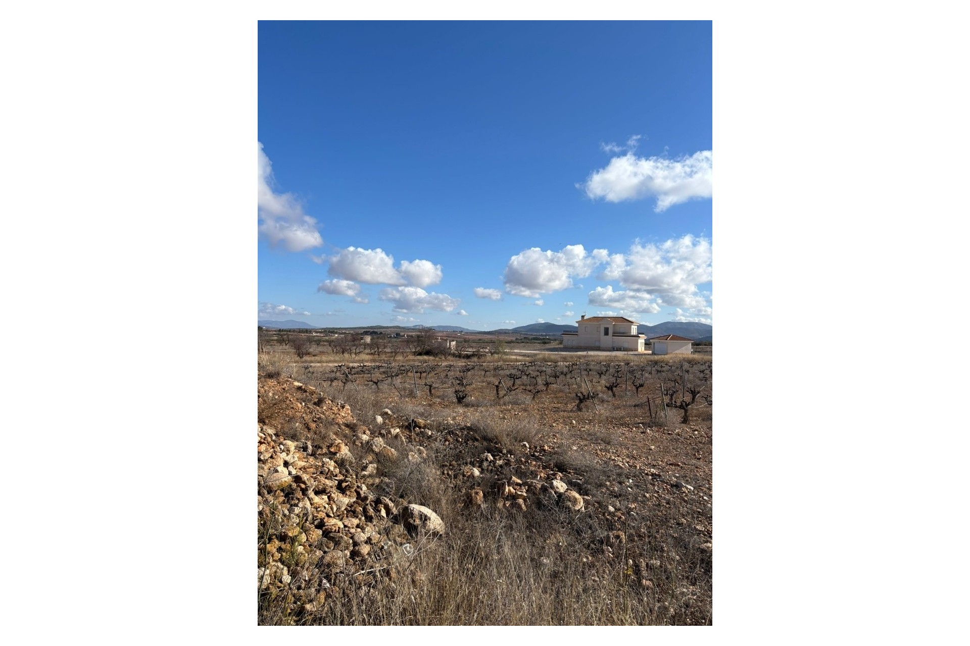 Resale - Grundstück / Land -
Pinoso - el Pinós / Pinoso