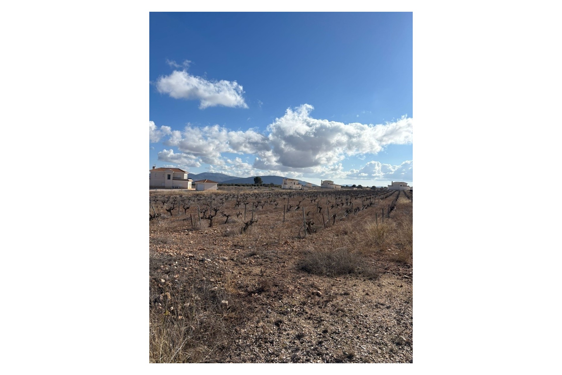 Resale - Grundstück / Land -
Pinoso - el Pinós / Pinoso