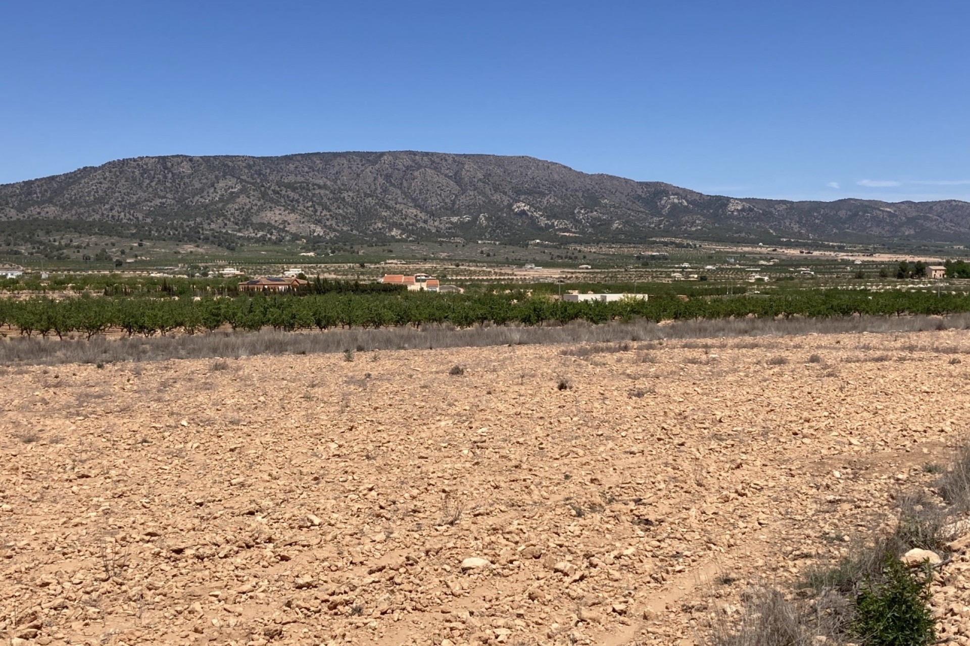 Resale - Grundstück / Land -
Pinoso - Lel