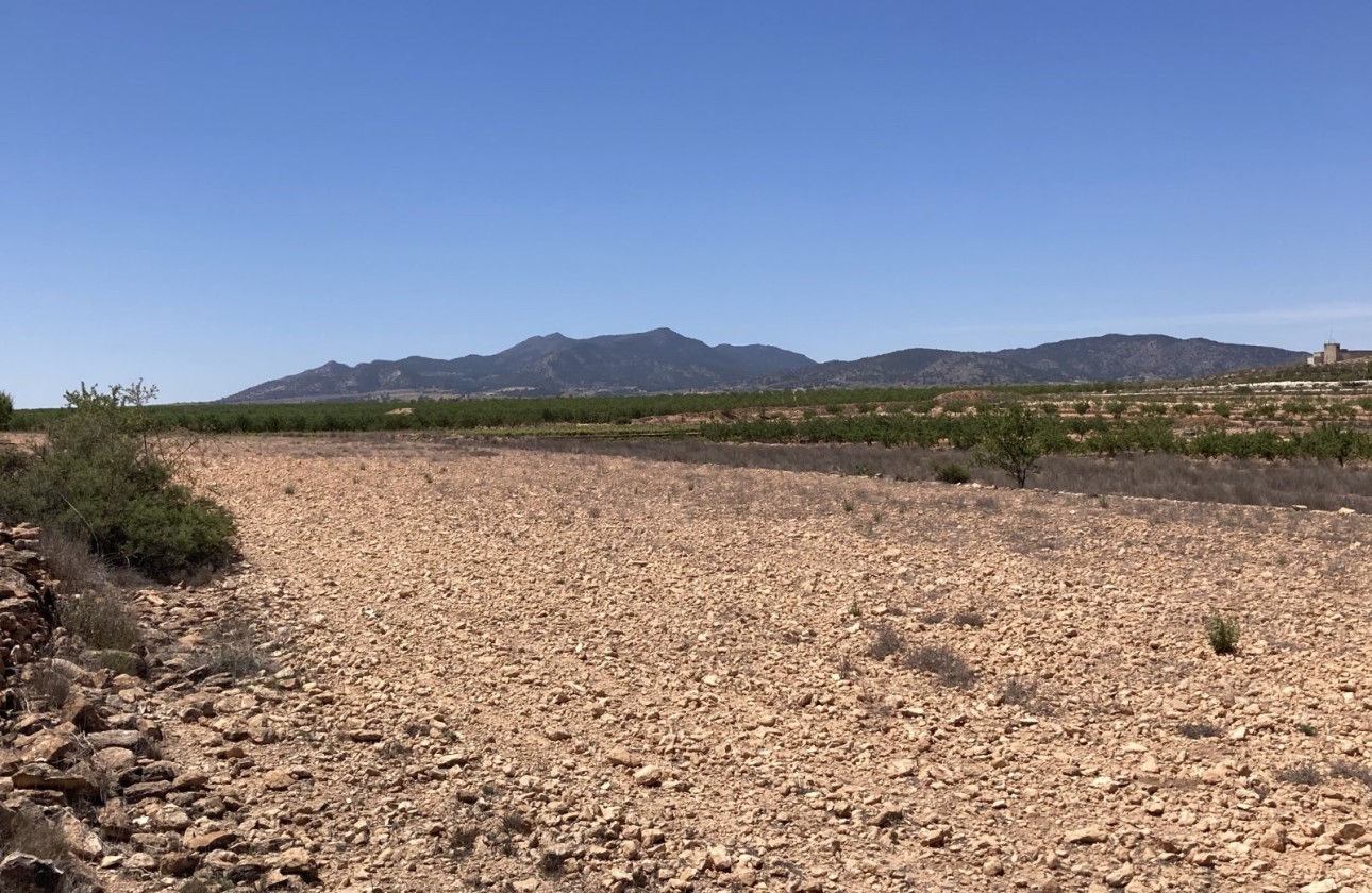 Resale - Grundstück / Land -
Pinoso - Lel