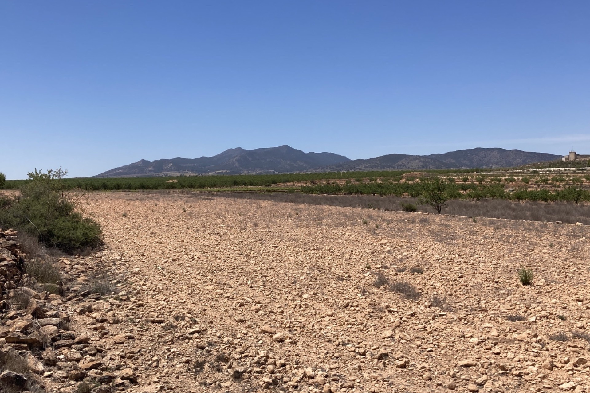 Resale - Grundstück / Land -
Pinoso - Lel