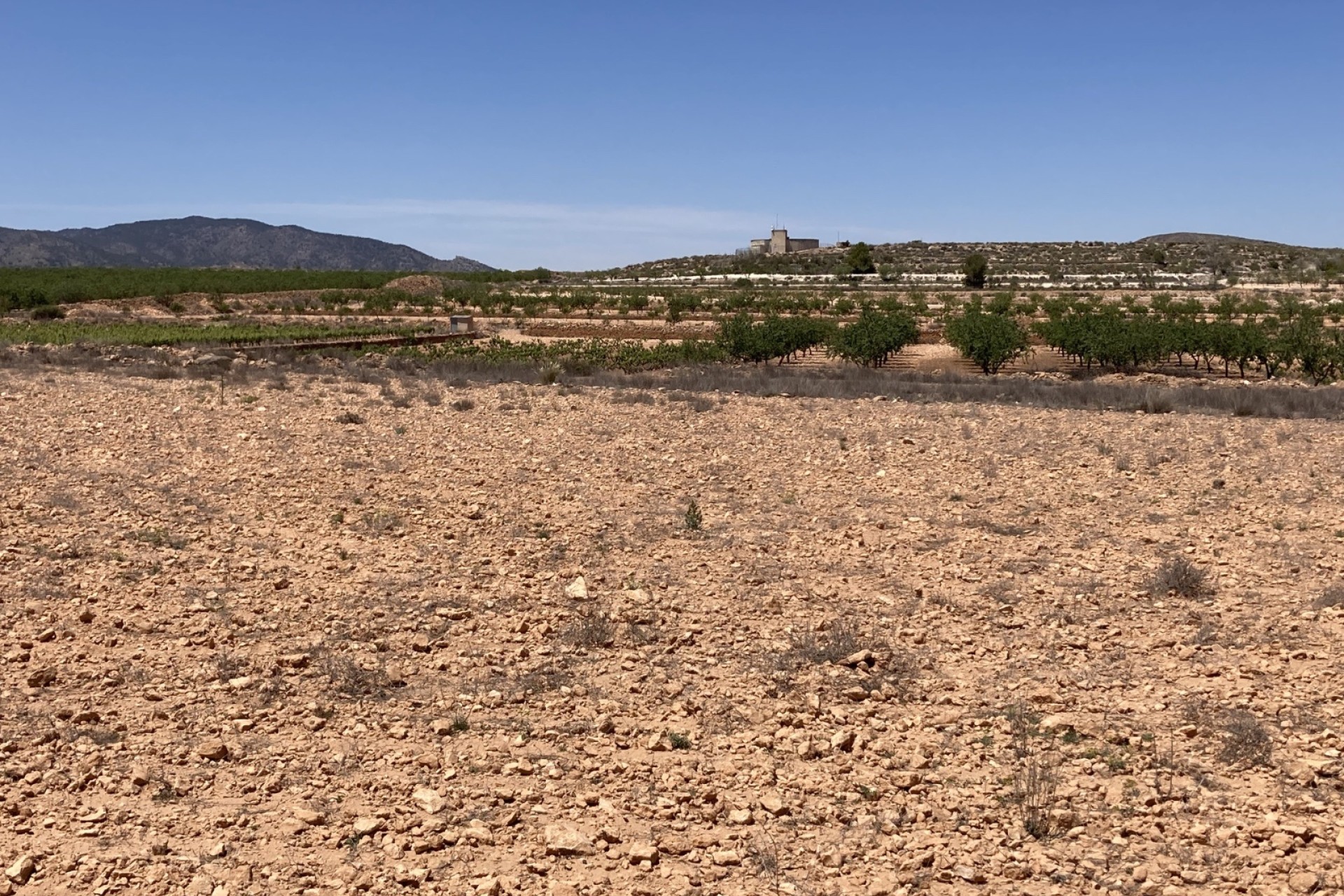 Resale - Grundstück / Land -
Pinoso - Lel