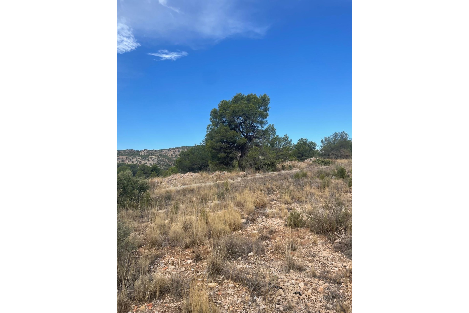 Resale - Grundstück / Land -
Pinoso - Pinoso Alicante