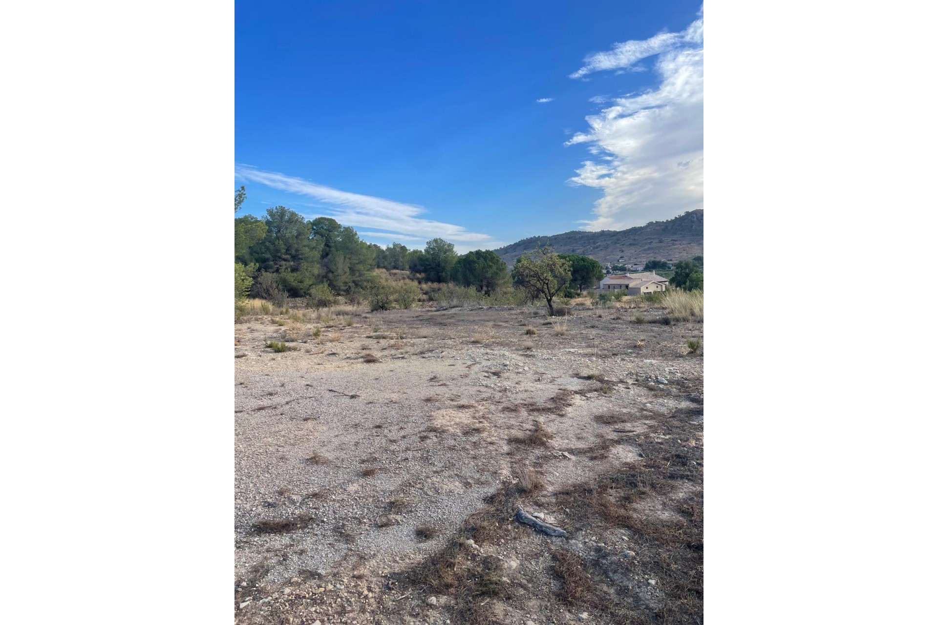 Resale - Grundstück / Land -
Pinoso - Pinoso Alicante