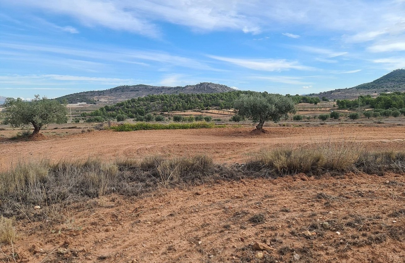 Resale - Grundstück / Land -
Pinoso