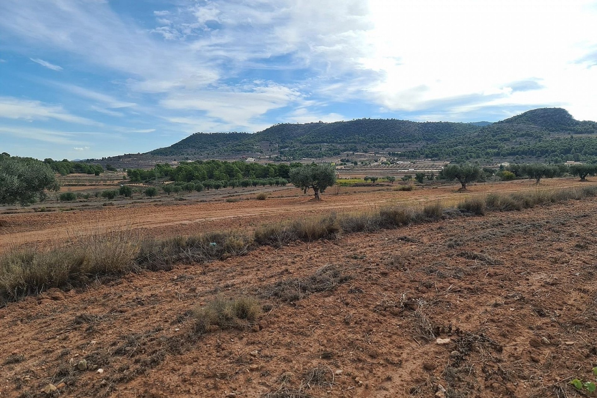 Resale - Grundstück / Land -
Pinoso