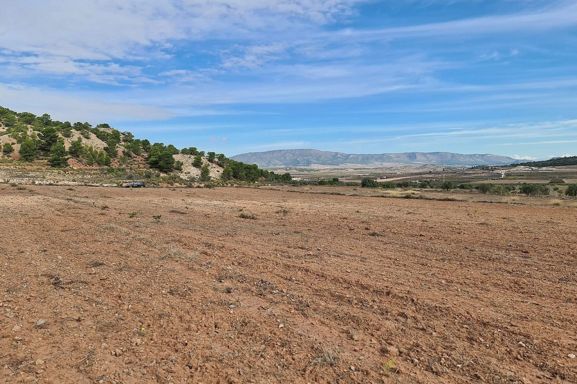 Resale - Grundstück / Land -
Pinoso