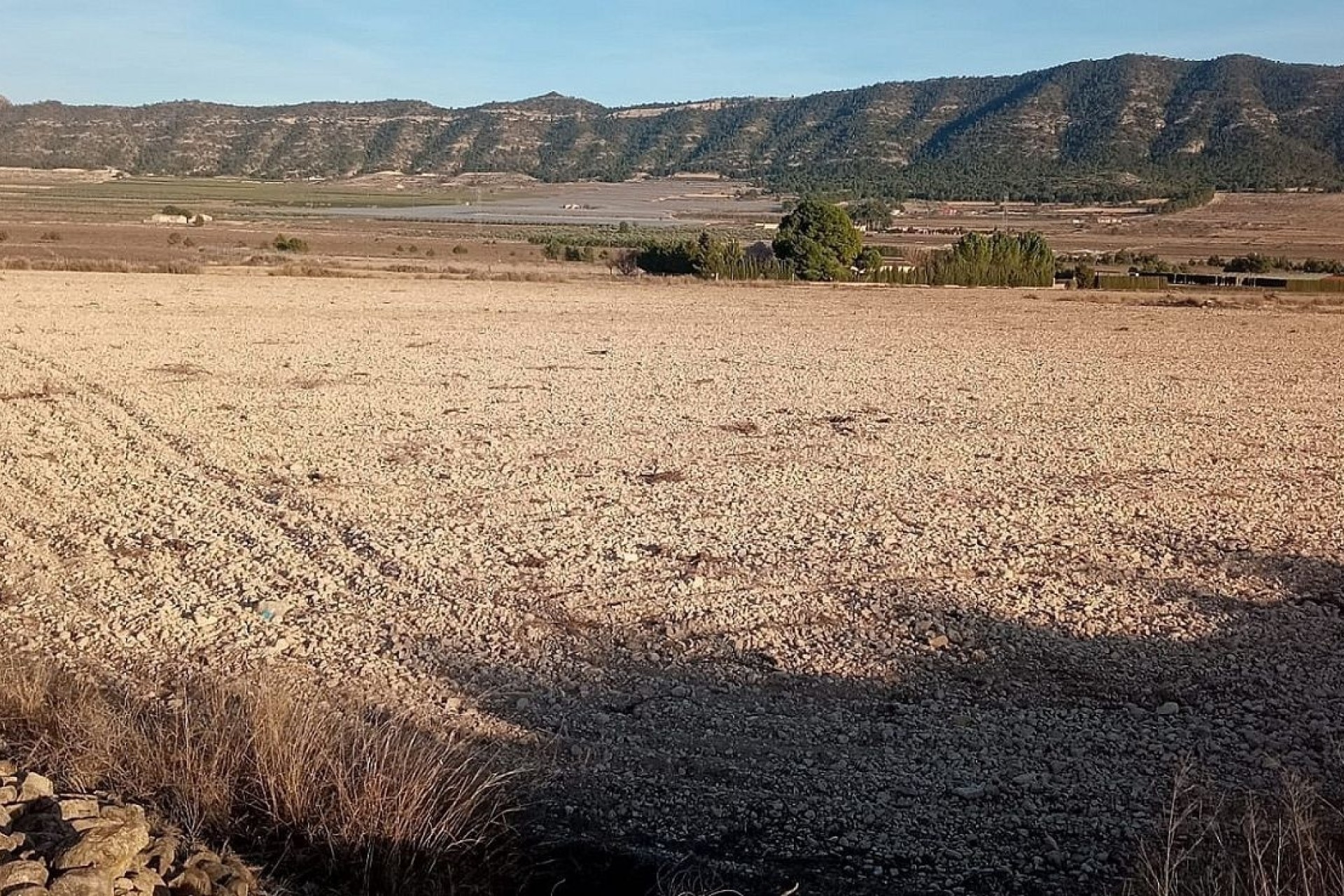 Resale - Grundstück / Land -
Salinas