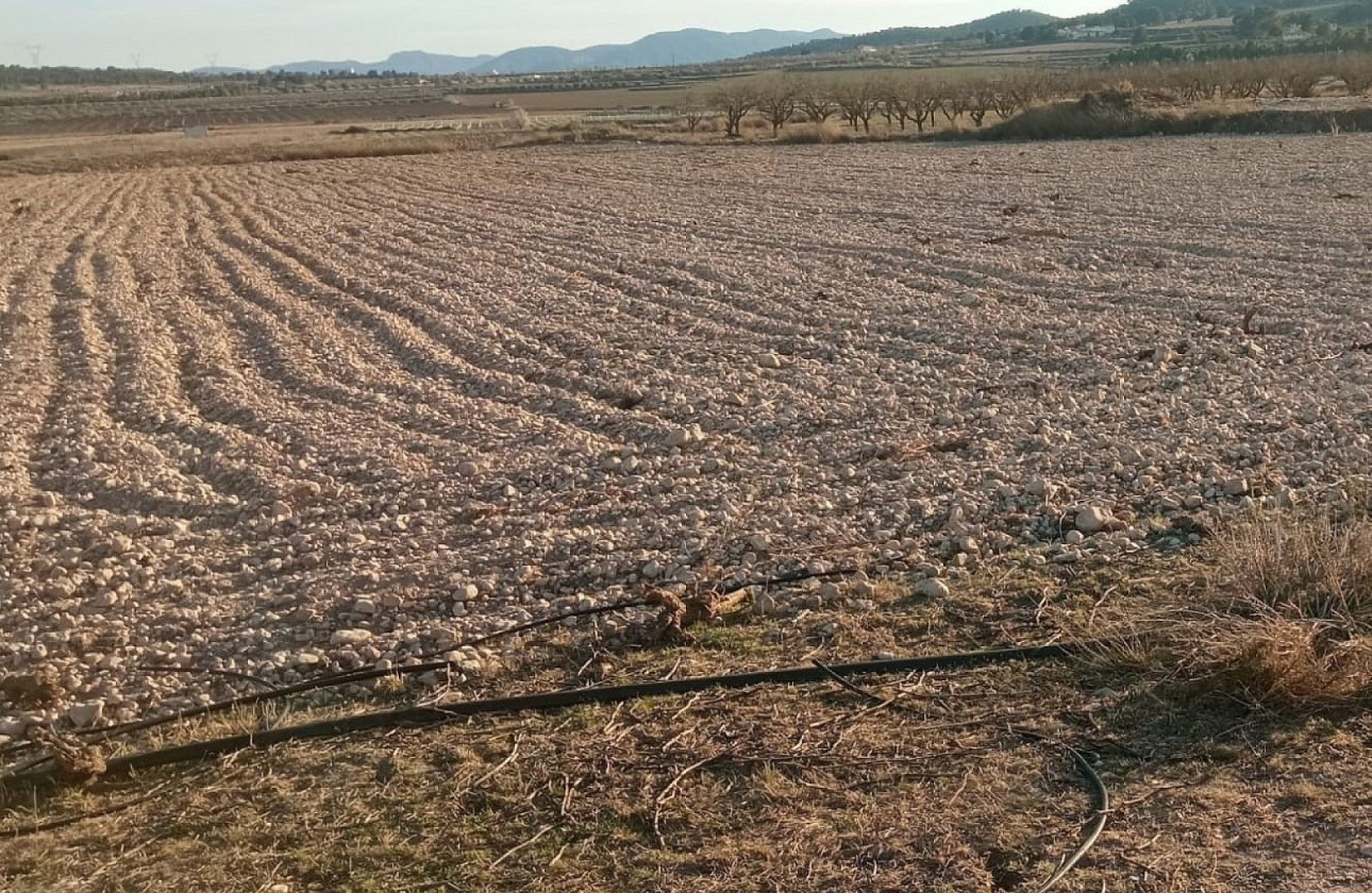 Resale - Grundstück / Land -
Salinas
