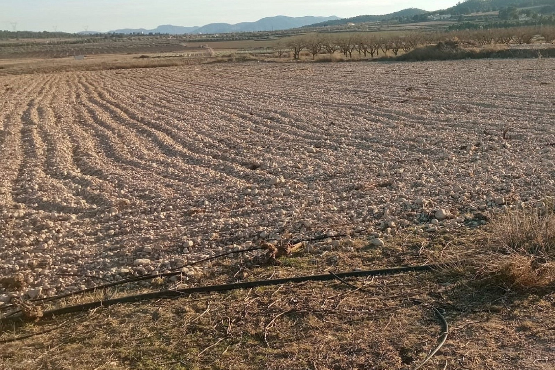 Resale - Grundstück / Land -
Salinas