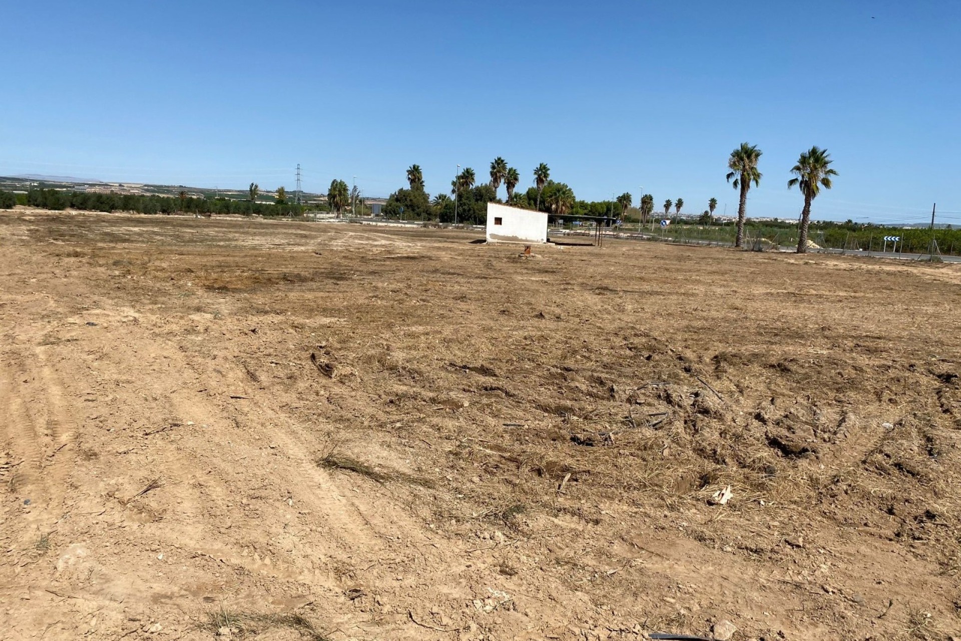 Resale - Grundstück / Land -
San Miguel de Salinas - San Miguel Salinas