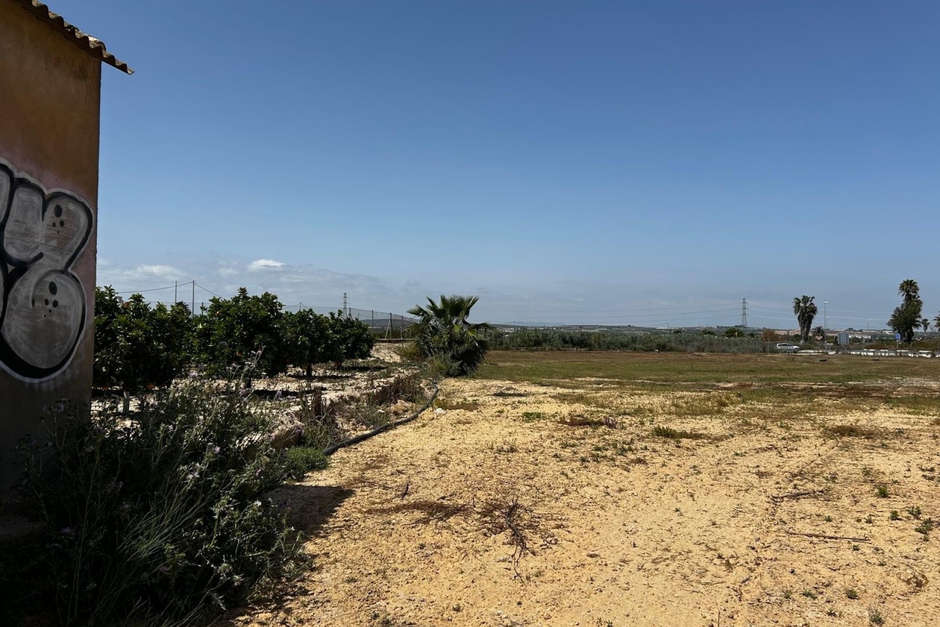 Resale - Grundstück / Land -
San Miguel de Salinas - San Miguel Salinas