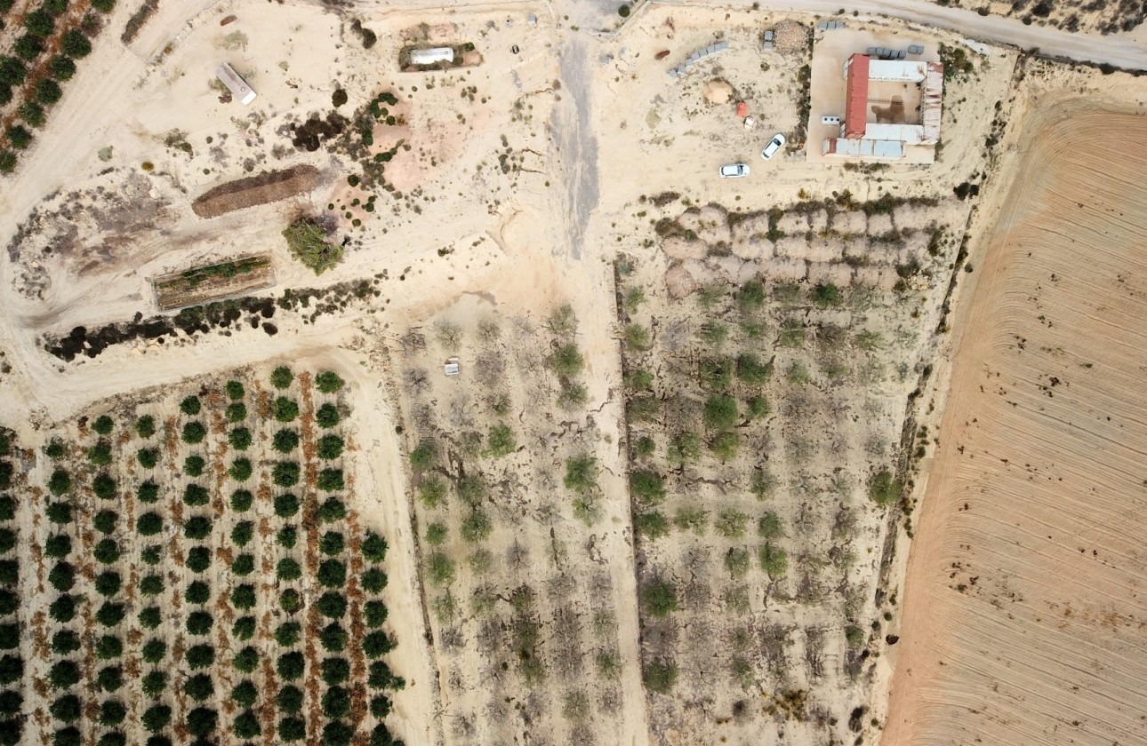 Resale - Grundstück / Land -
Torremendo - Torremendo - Country