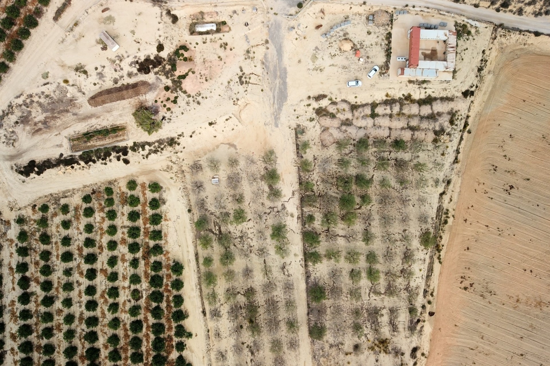 Resale - Grundstück / Land -
Torremendo - Torremendo - Country