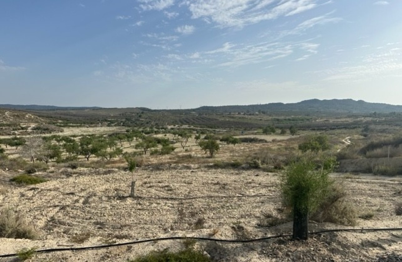 Resale - Grundstück / Land -
Torremendo