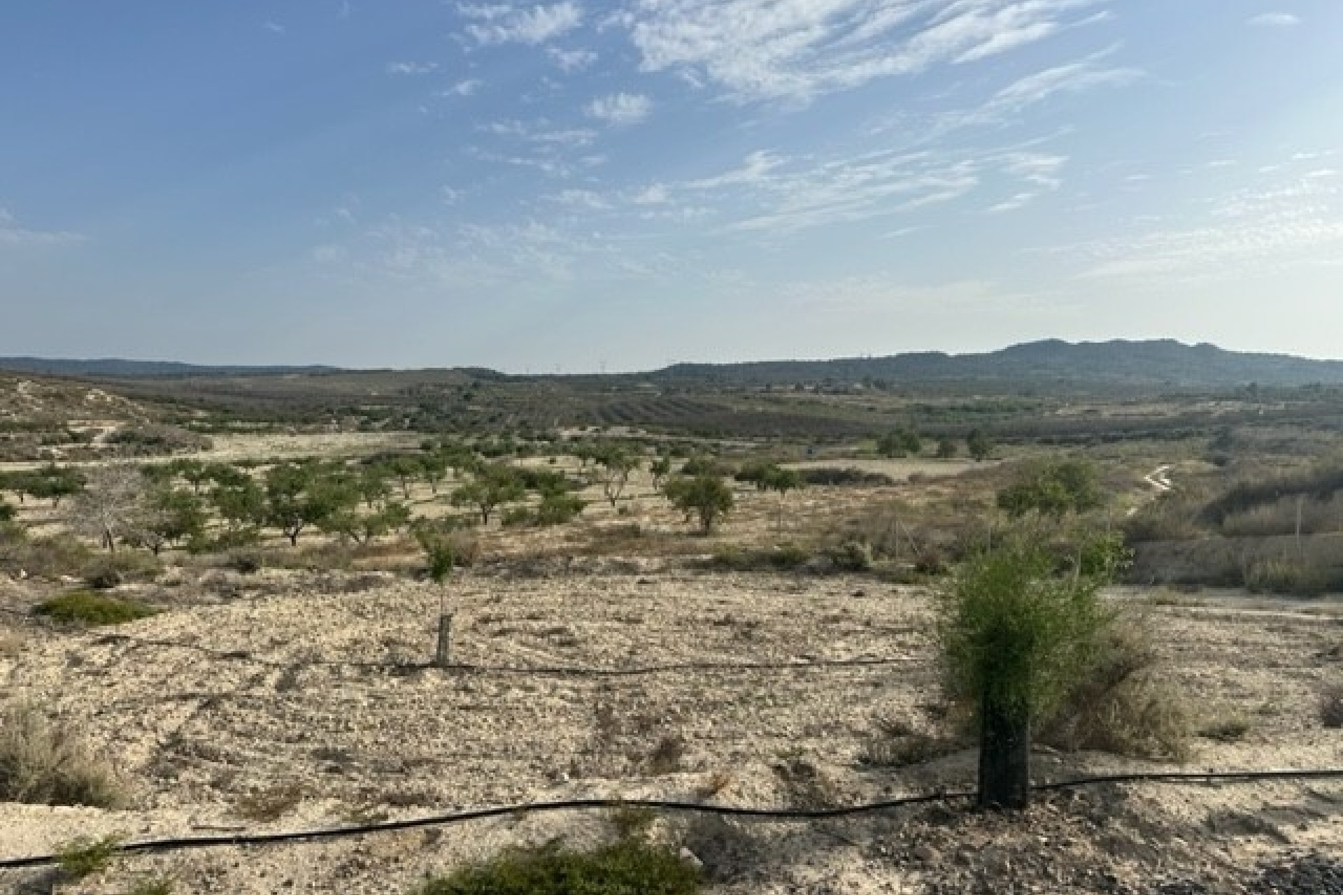 Resale - Grundstück / Land -
Torremendo