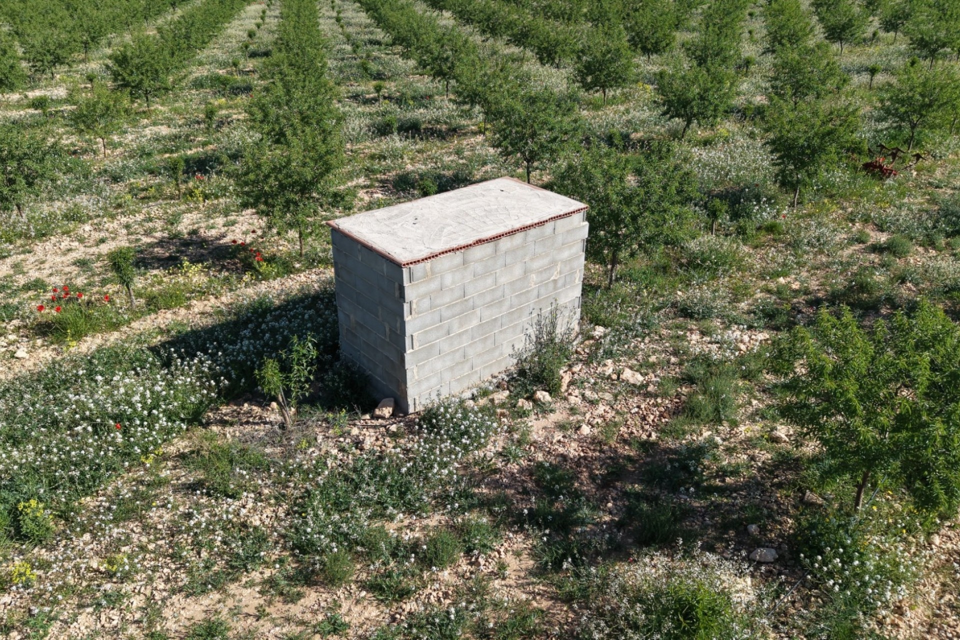 Resale - Grundstück / Land -
Yecla - Yecla Murcia