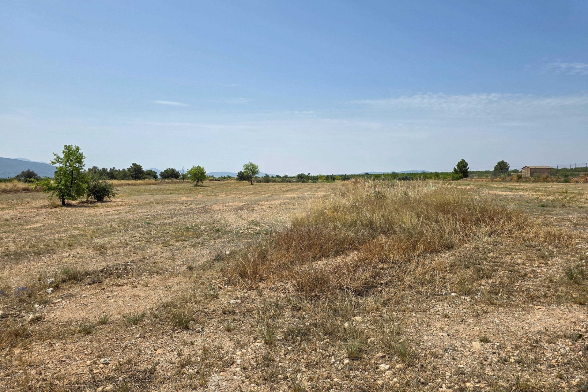 Resale - Grundstück -
Pinoso