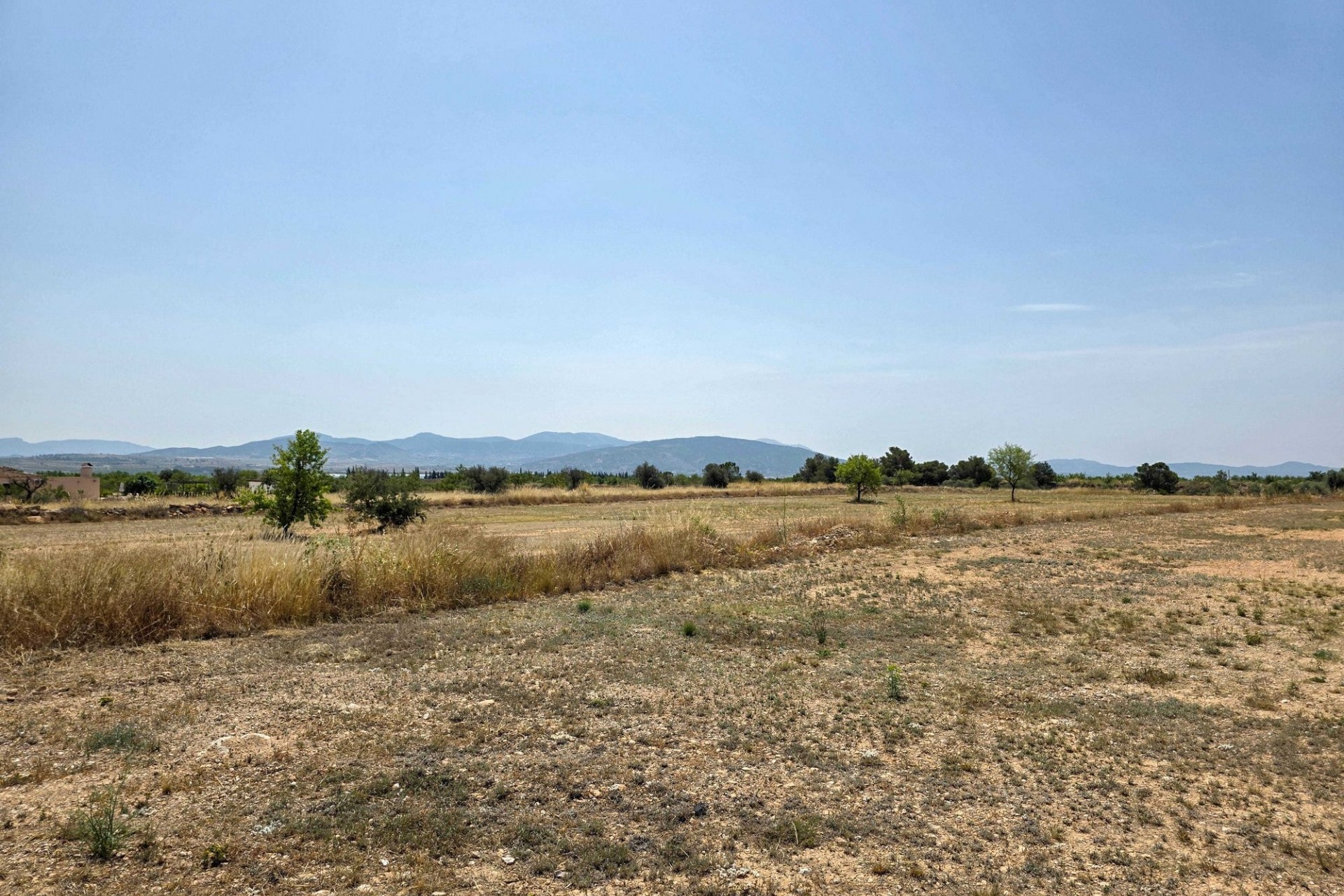 Resale - Grundstück -
Pinoso