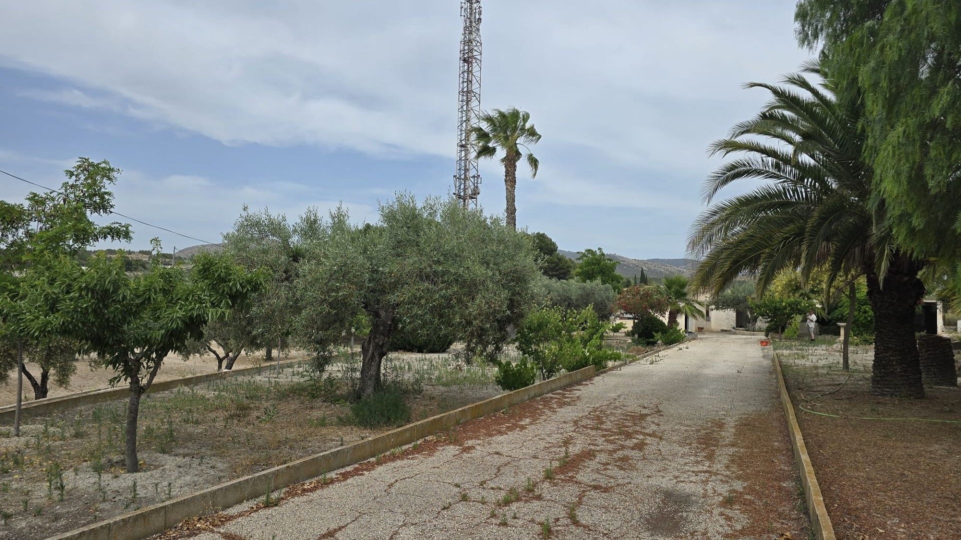 Resale - Investitionsprojekt -
SAX